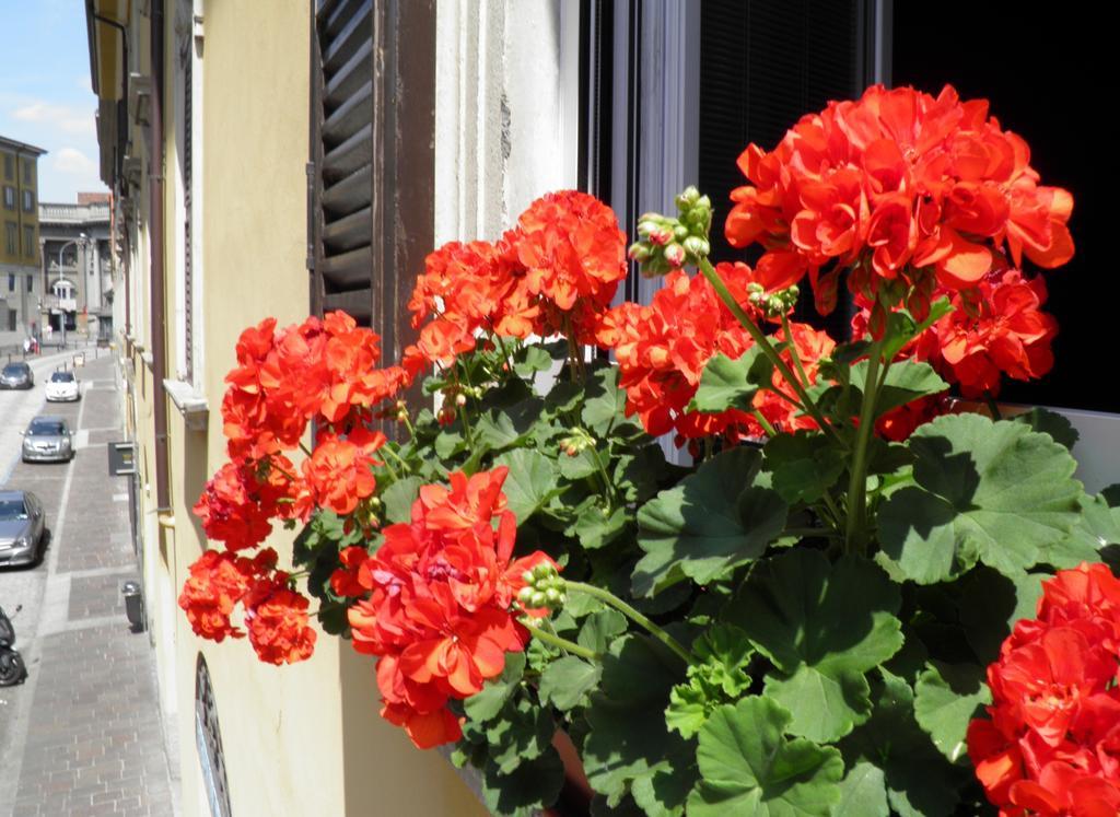 Bed and Breakfast In Centro Charme Bergamo Zewnętrze zdjęcie